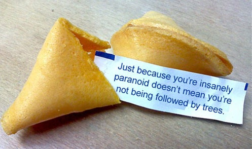 fortune-cookie-6